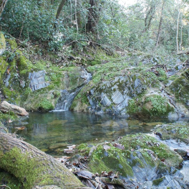 gite, hérault, naturisme, mourèze, tourisme