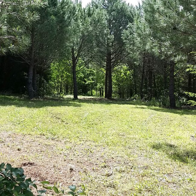 gite, hérault, naturisme, mourèze, nature